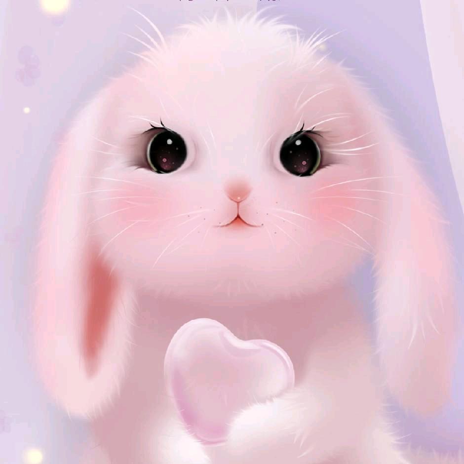 七姐