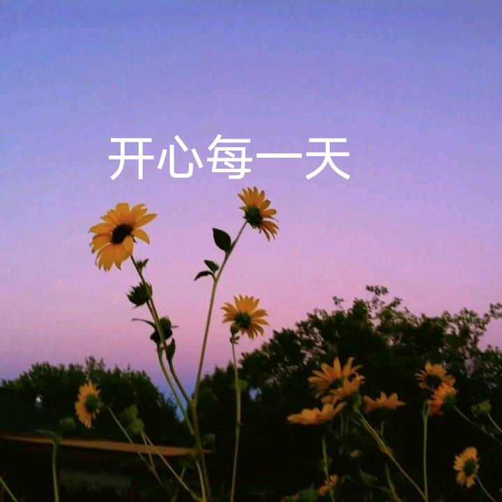 诚意