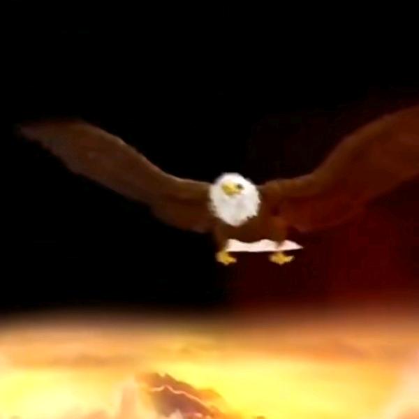 落子🈚️悔💟