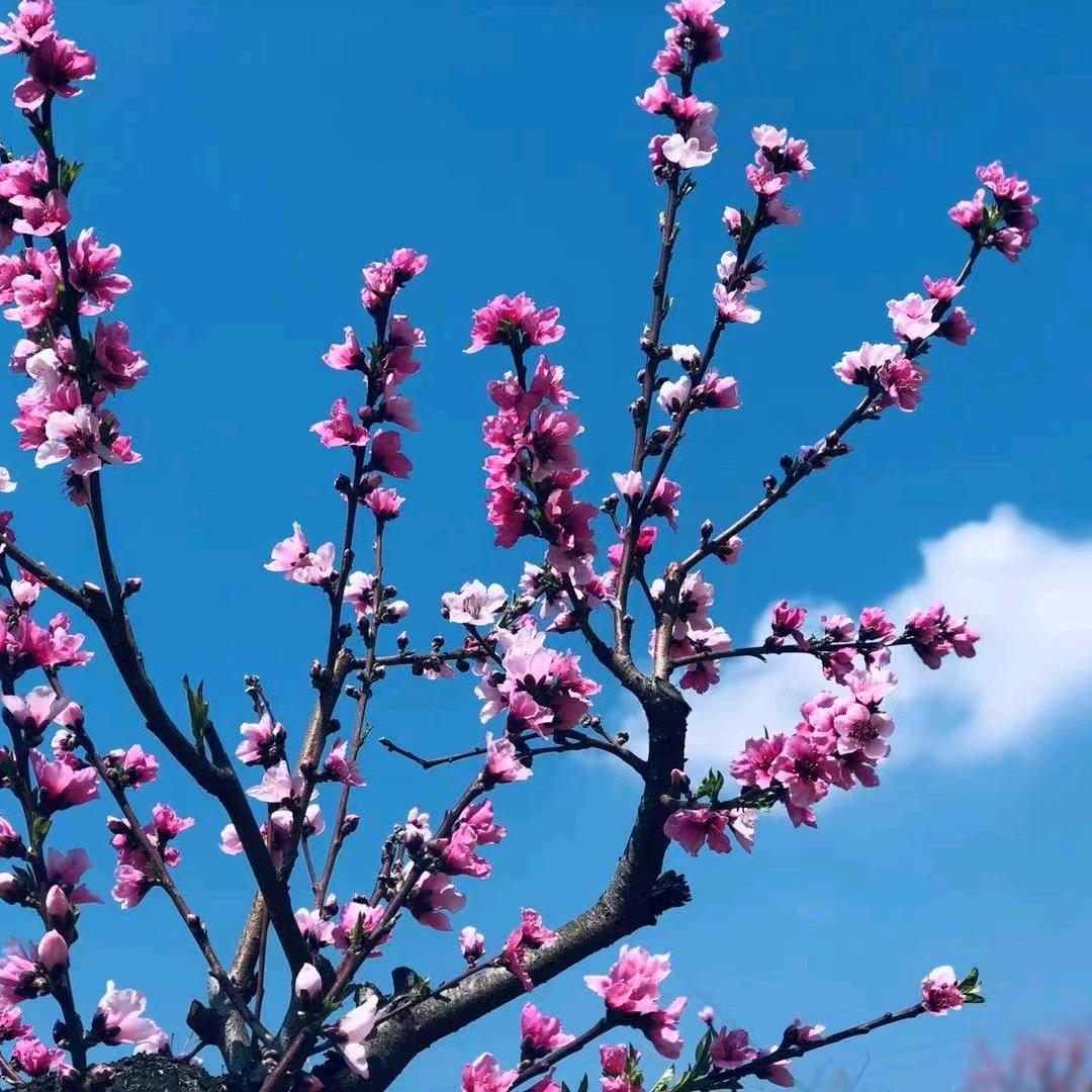 余生