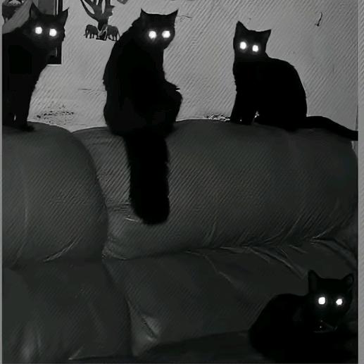 水枪装尿滋谁谁叫