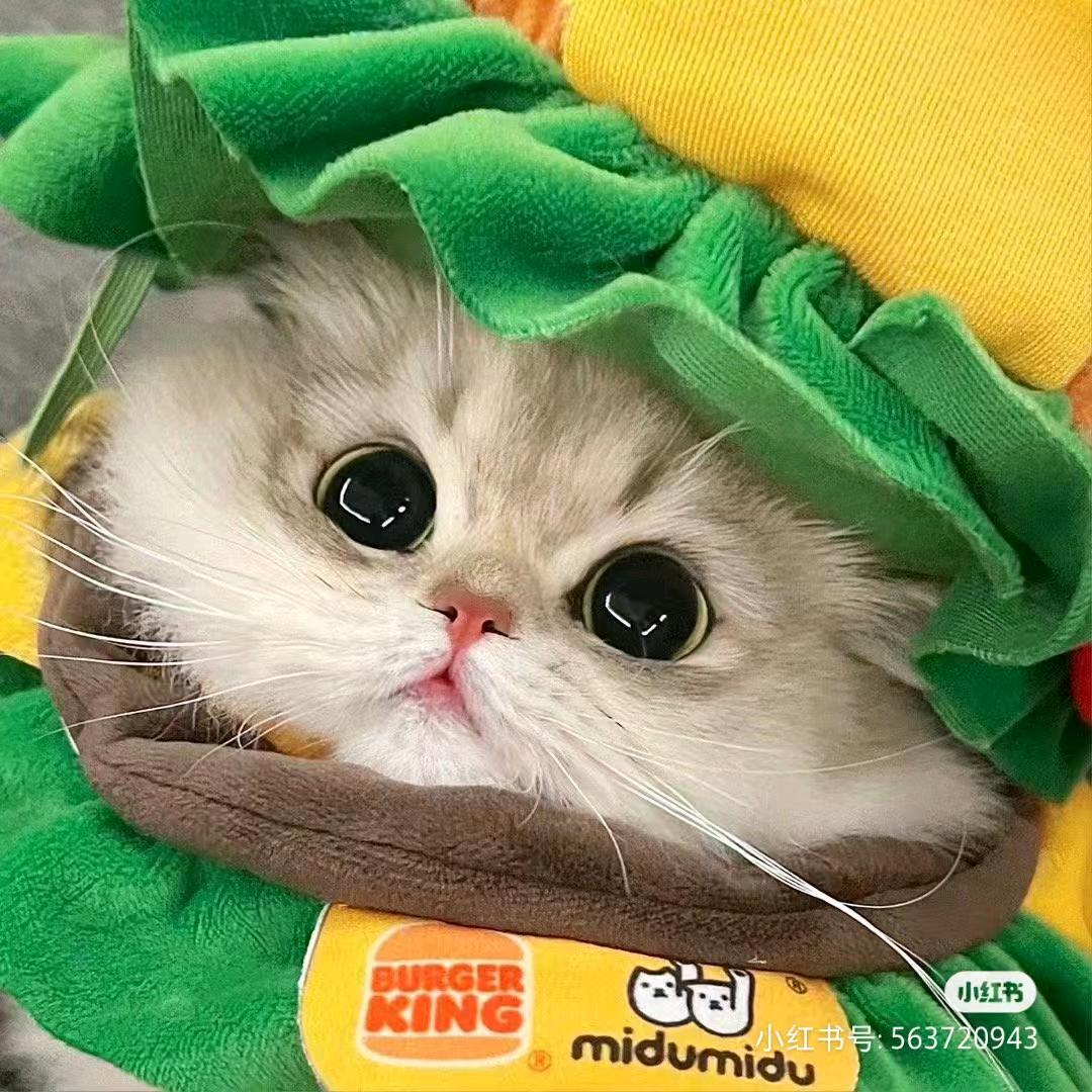 曦~