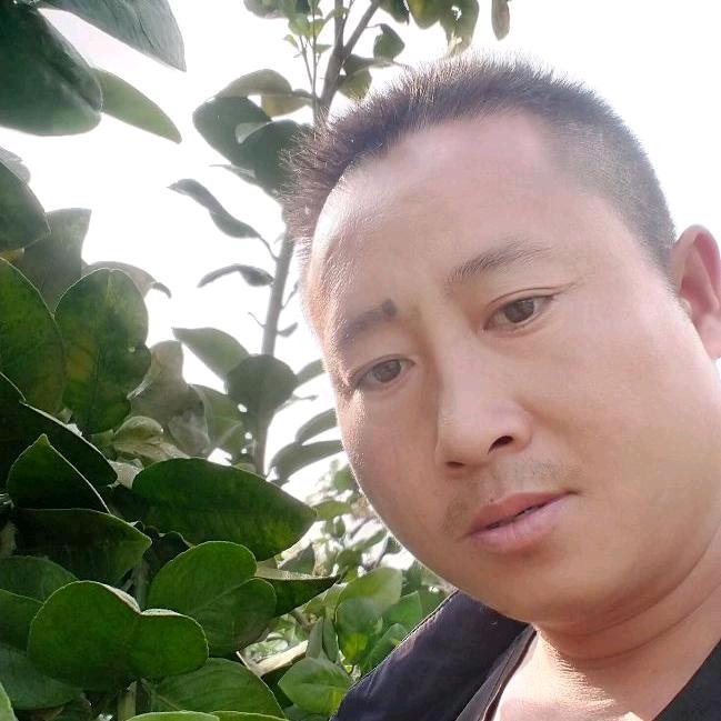 李三哥一心做好橙