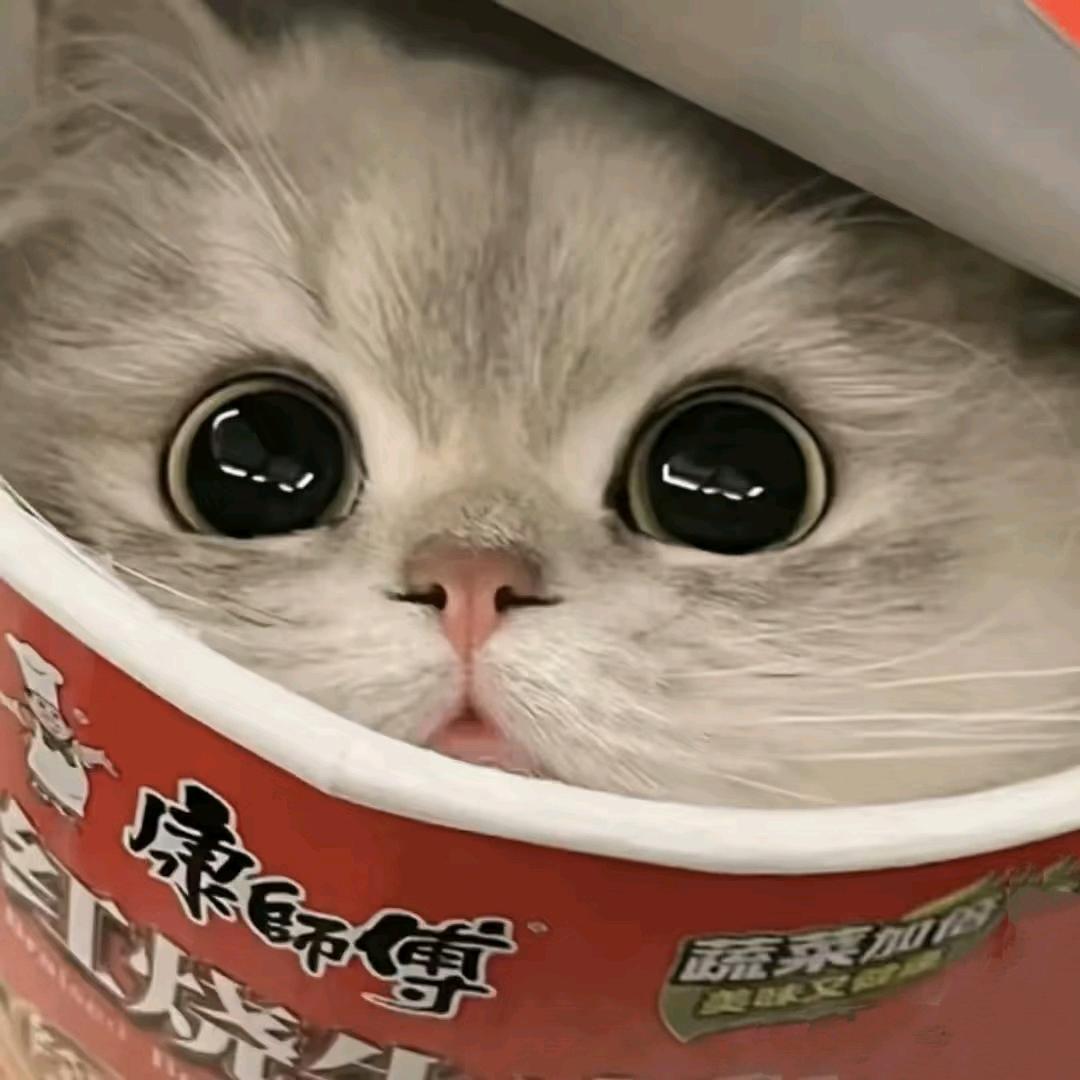 吳錫🐈