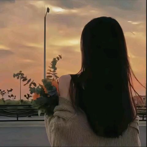 绥菜菜菜