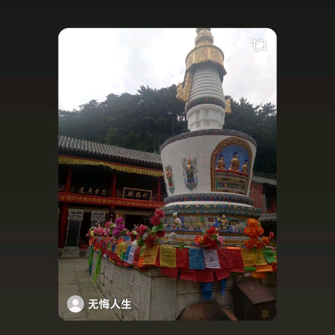 无悔人生