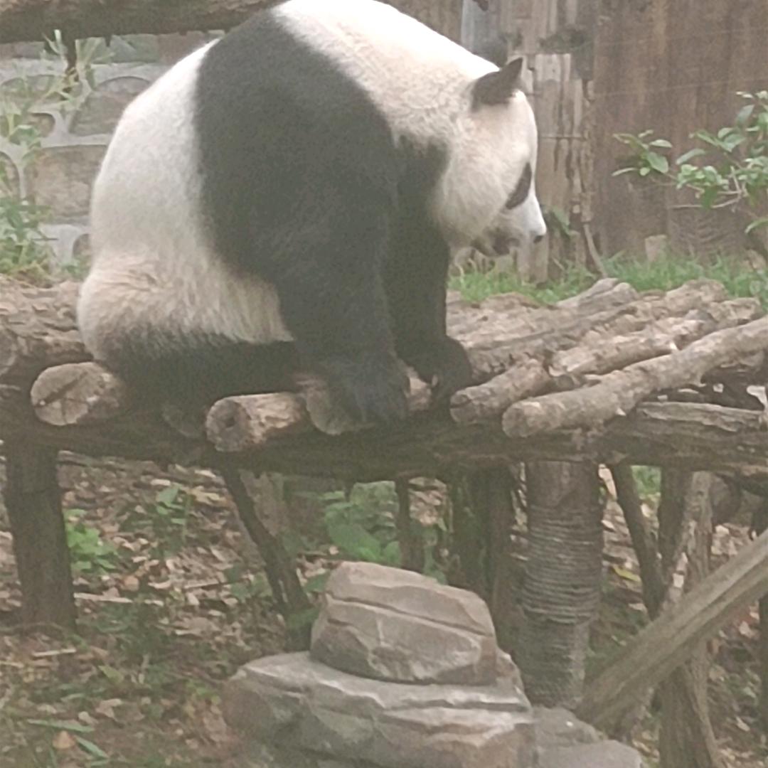 心想事成