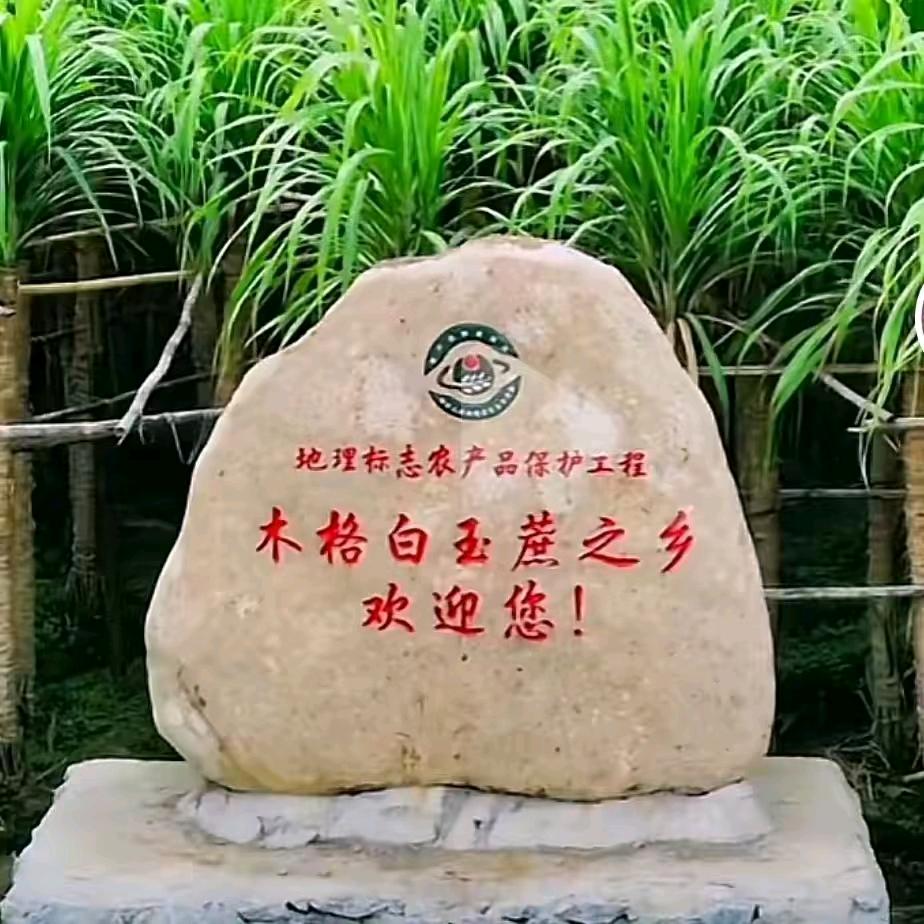 贵港木格666
