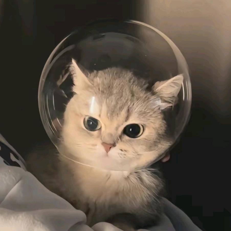 柯柯