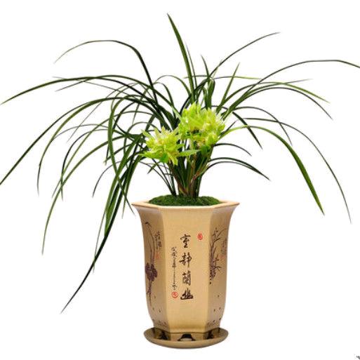 梁风有性