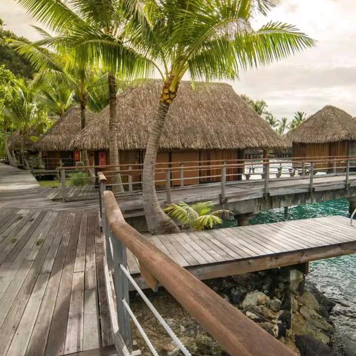 忘掉过去.从头在来