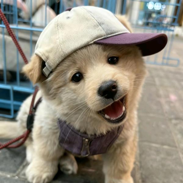 误差.