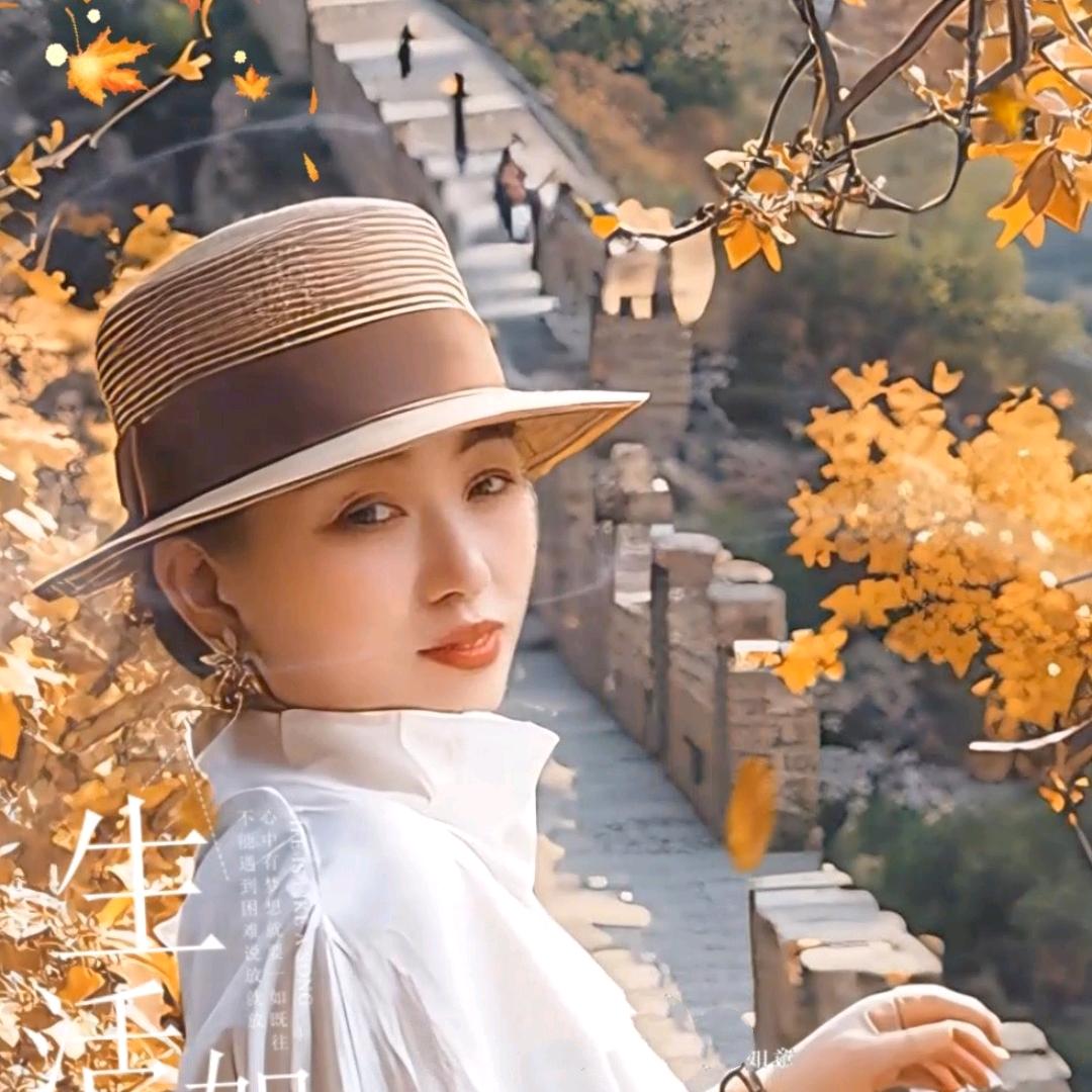 珍姐🌻