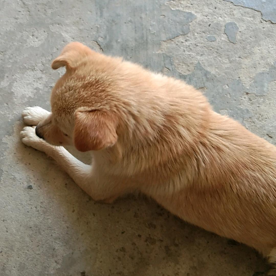 老李姐