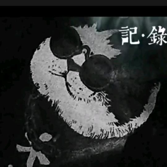 喀什黑猫