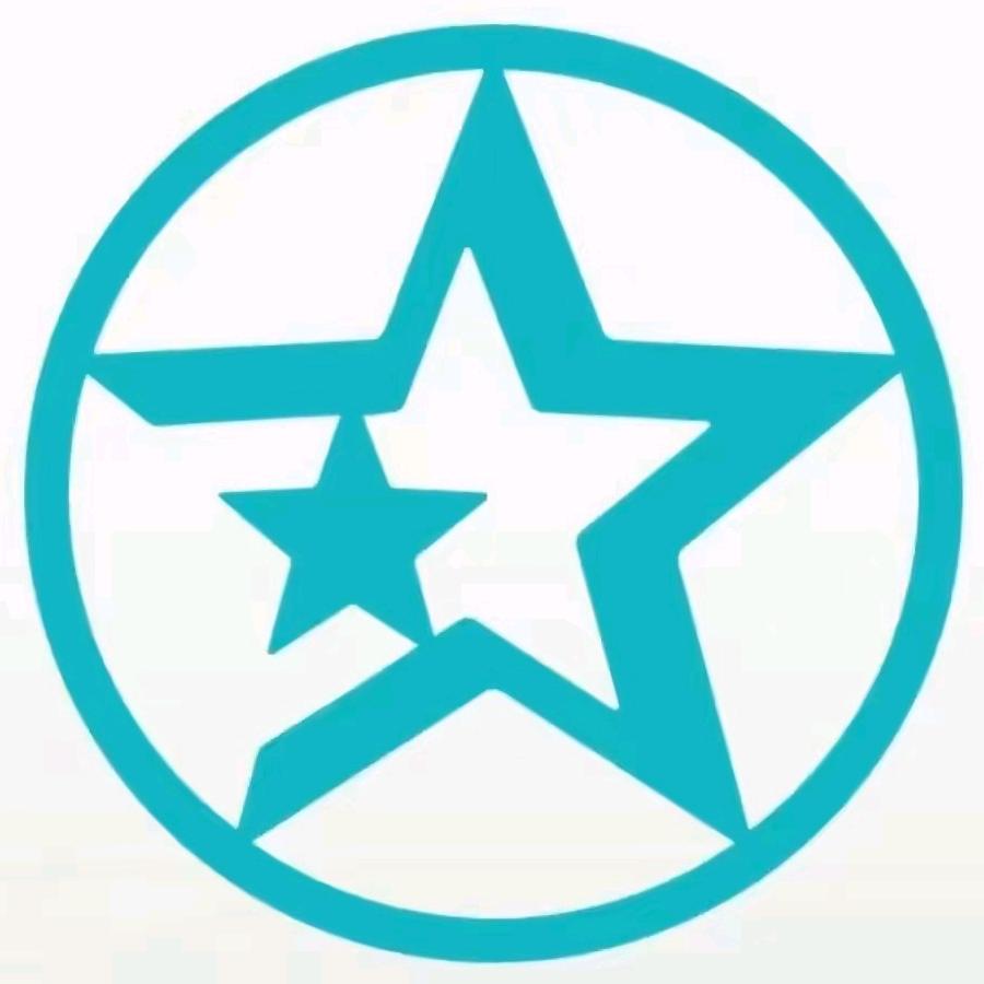 许昌东风日产启辰—胖虎