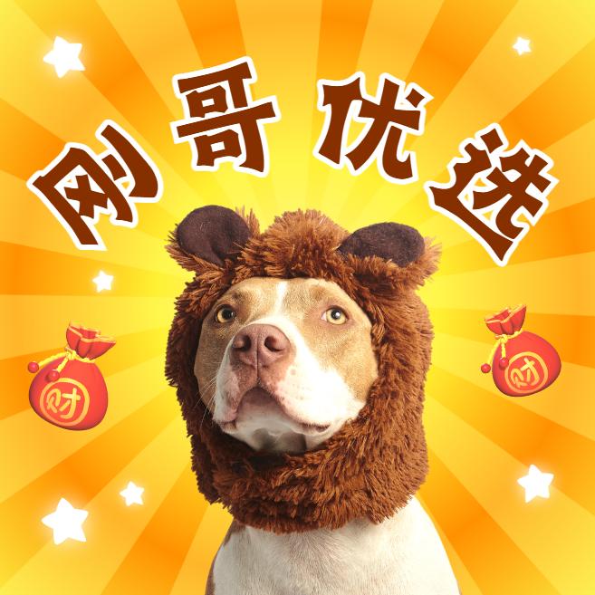 刚哥优选