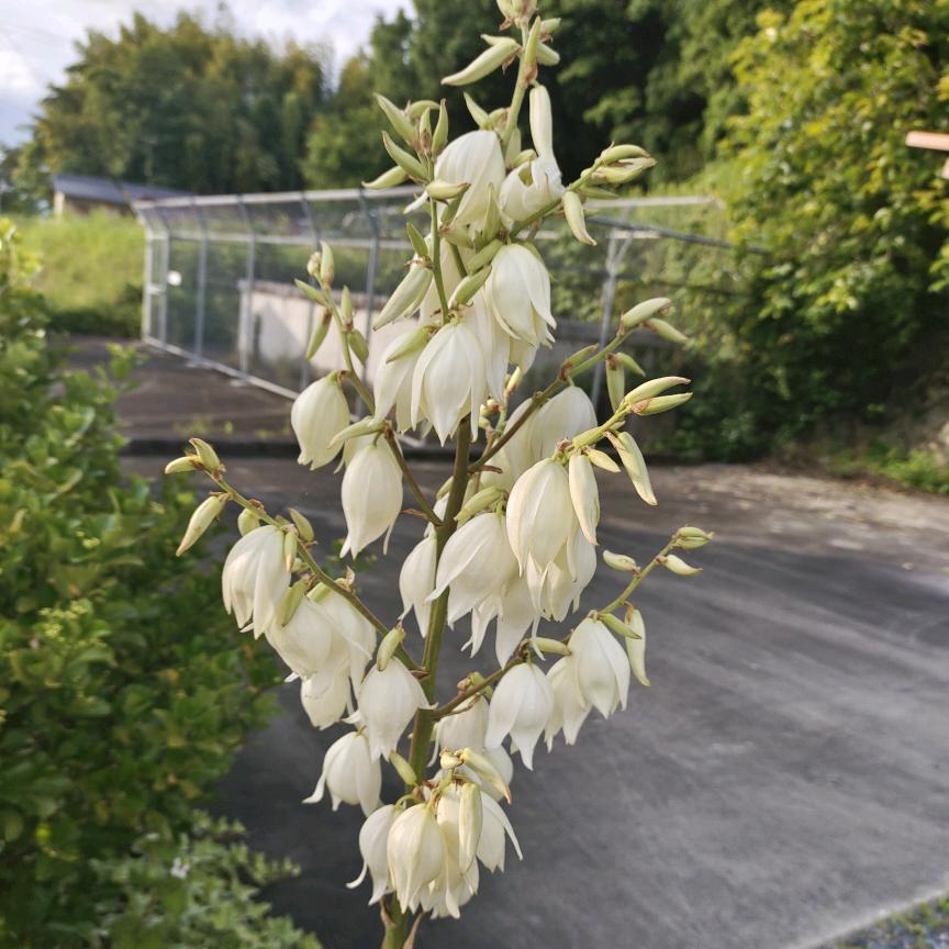 🐭心静自然凉🐰