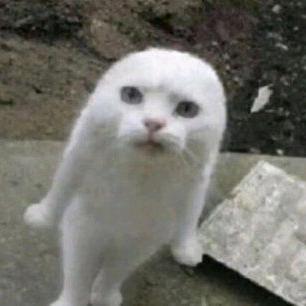 宋老尸