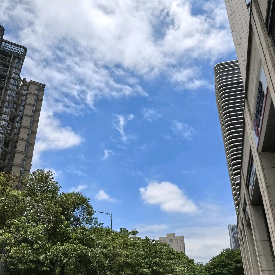 漂落的时钟