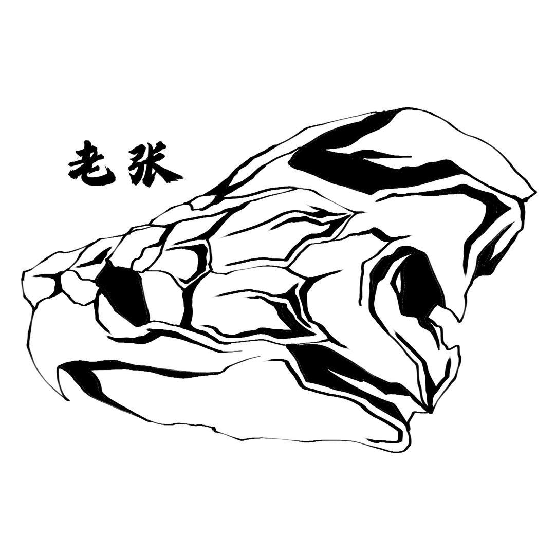 爱玩乌龟的小张同学
