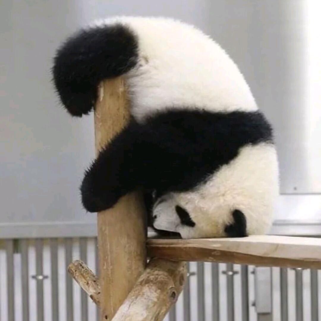 凡诚～小黄（收房卖房）