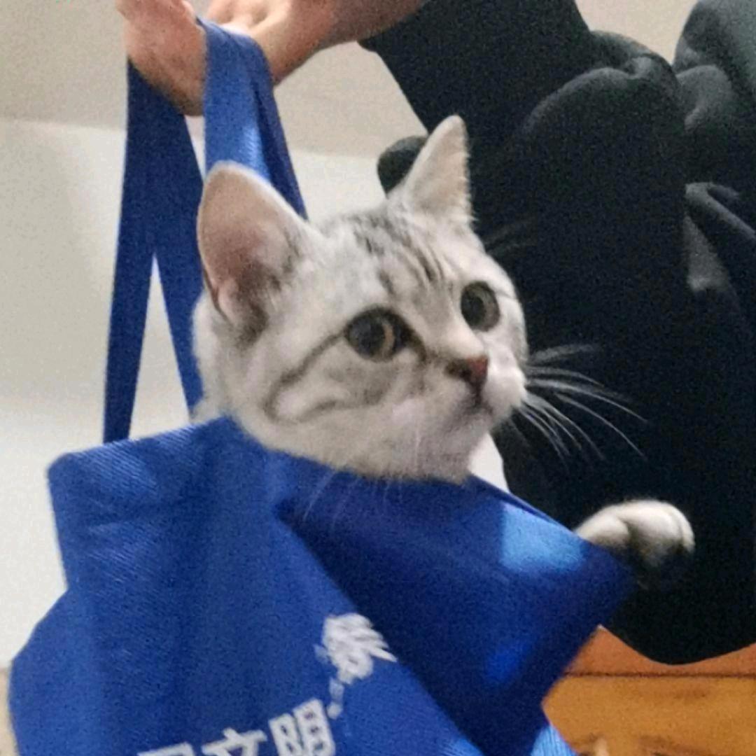 生姜