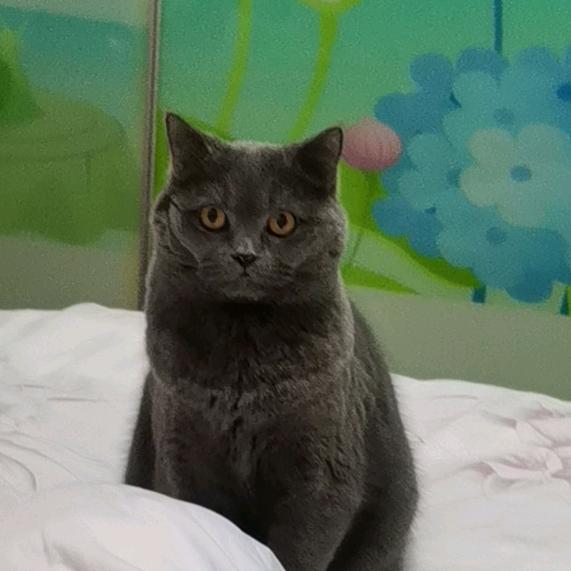严姐