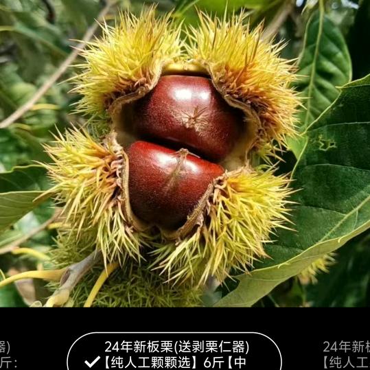 今生一起走