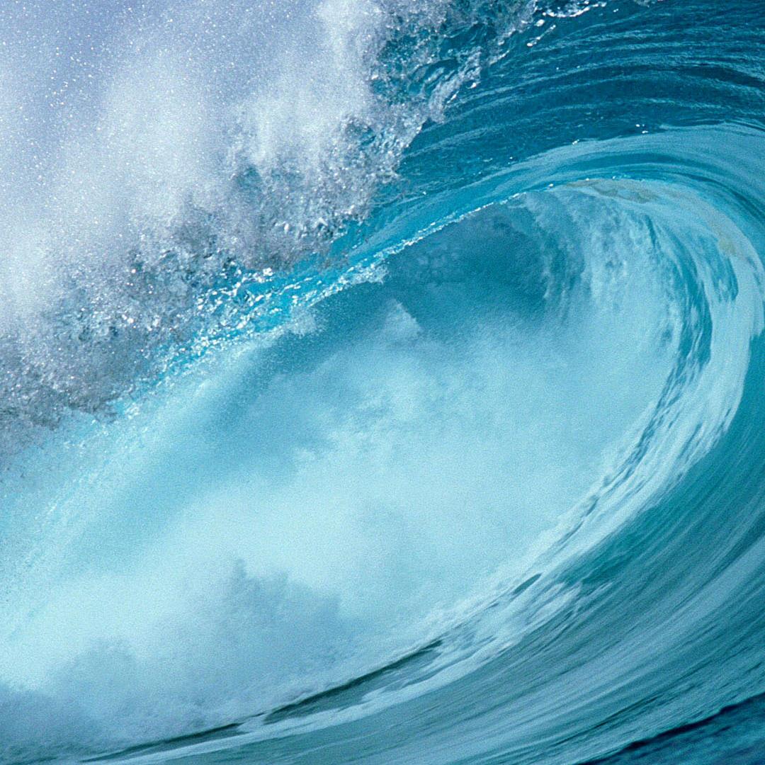 海哥很帅0