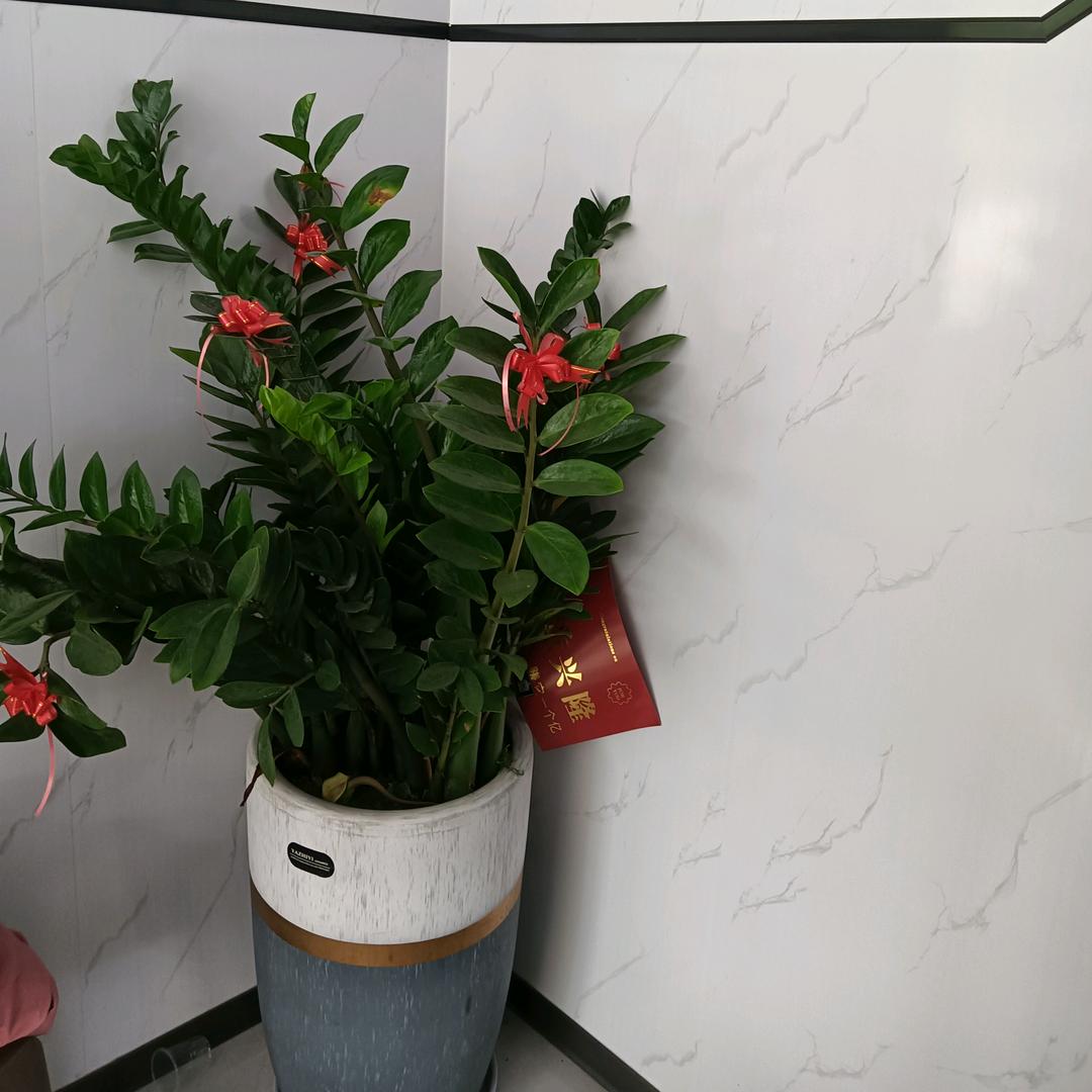 刘芳榕，