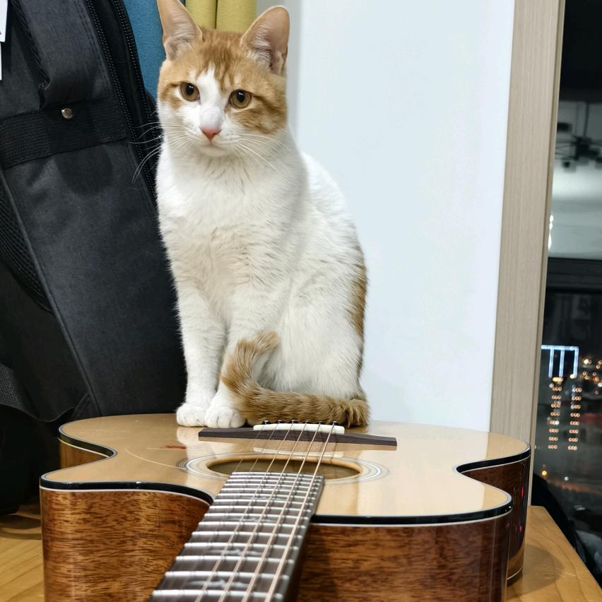 你我吉他艺术中心官方号