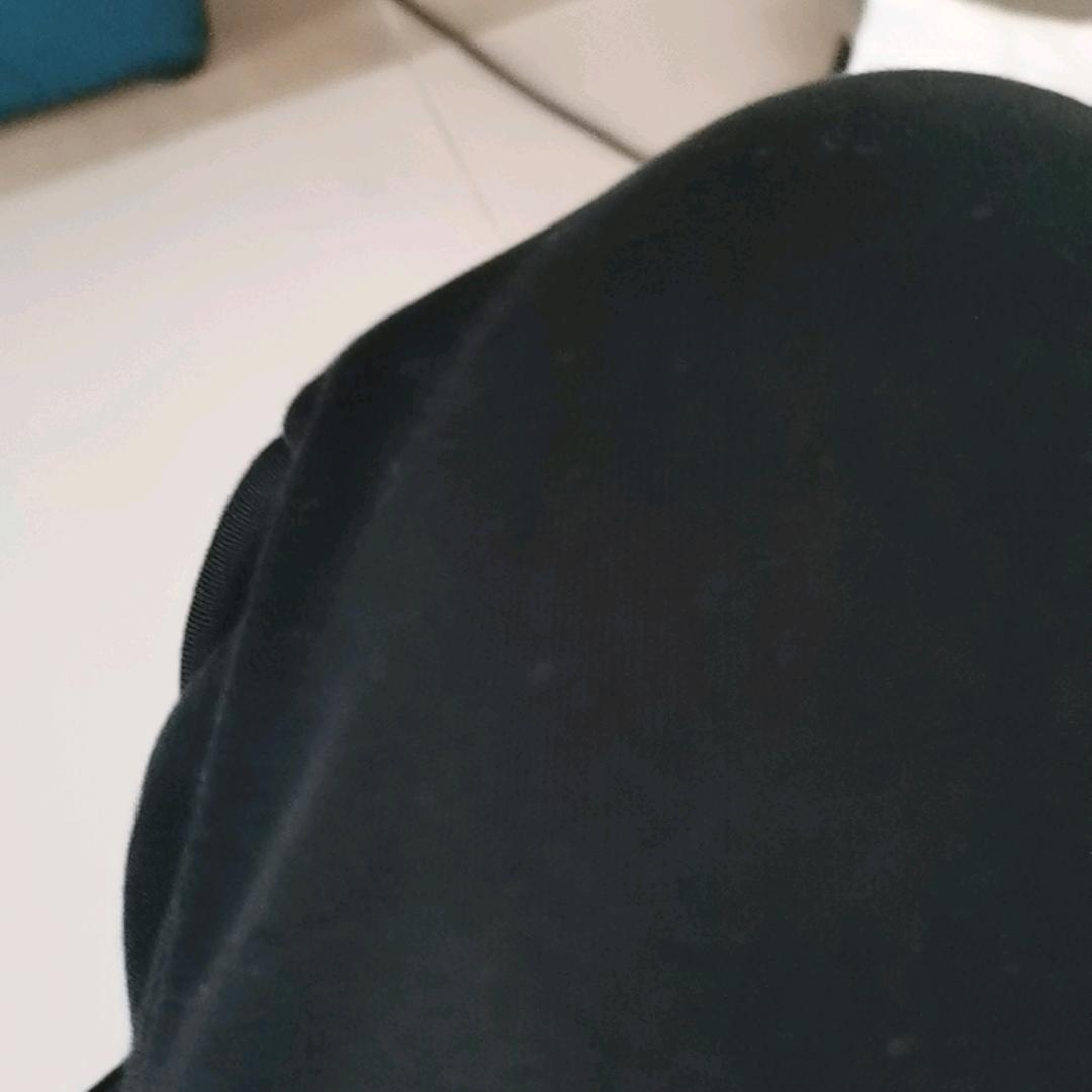 姐姐以成仙