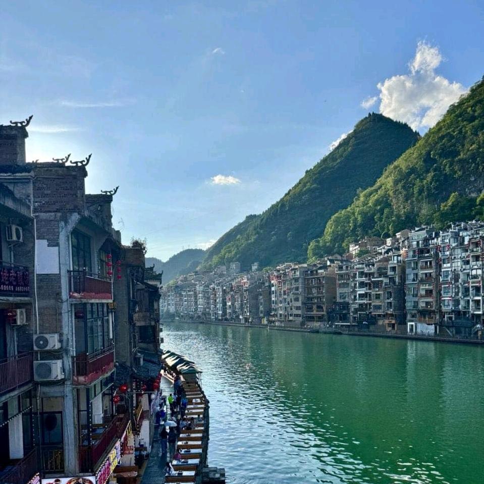 绝世好男人会做饭