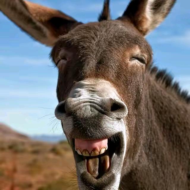 李狗蛋🐶🐶狗