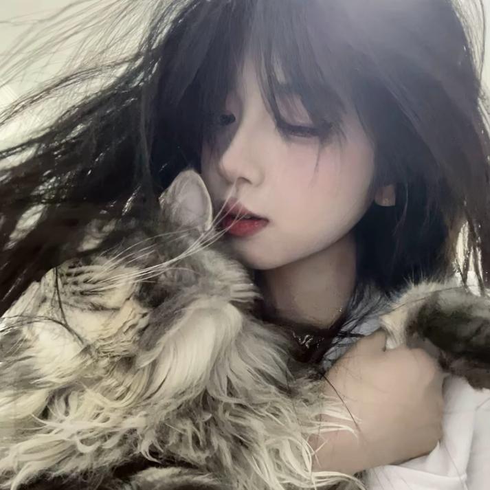 k 婷欣琴