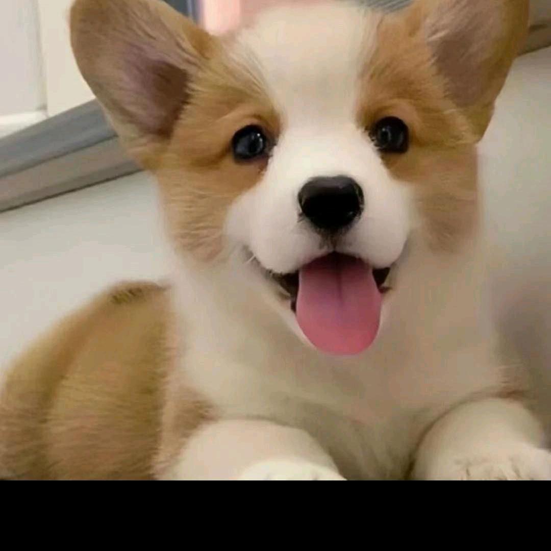 玉坤