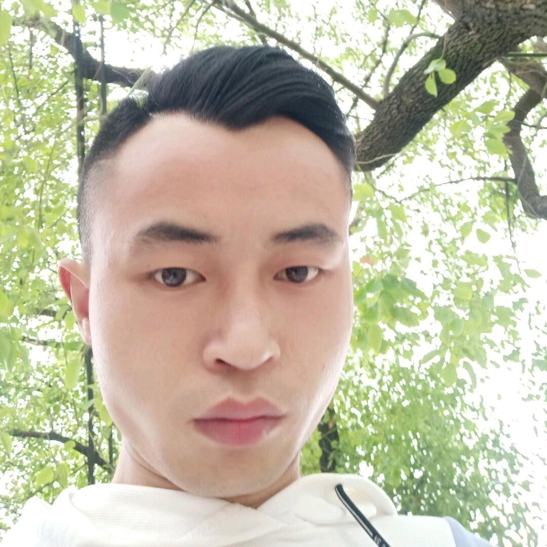 鹏