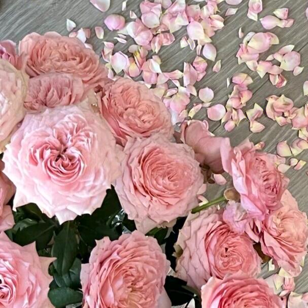 一支陈🌷