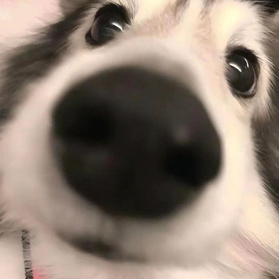 C._