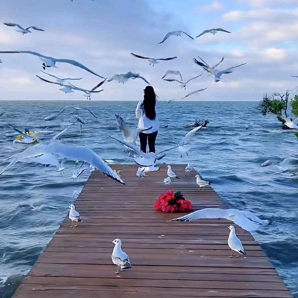 💤幸福👄二次方