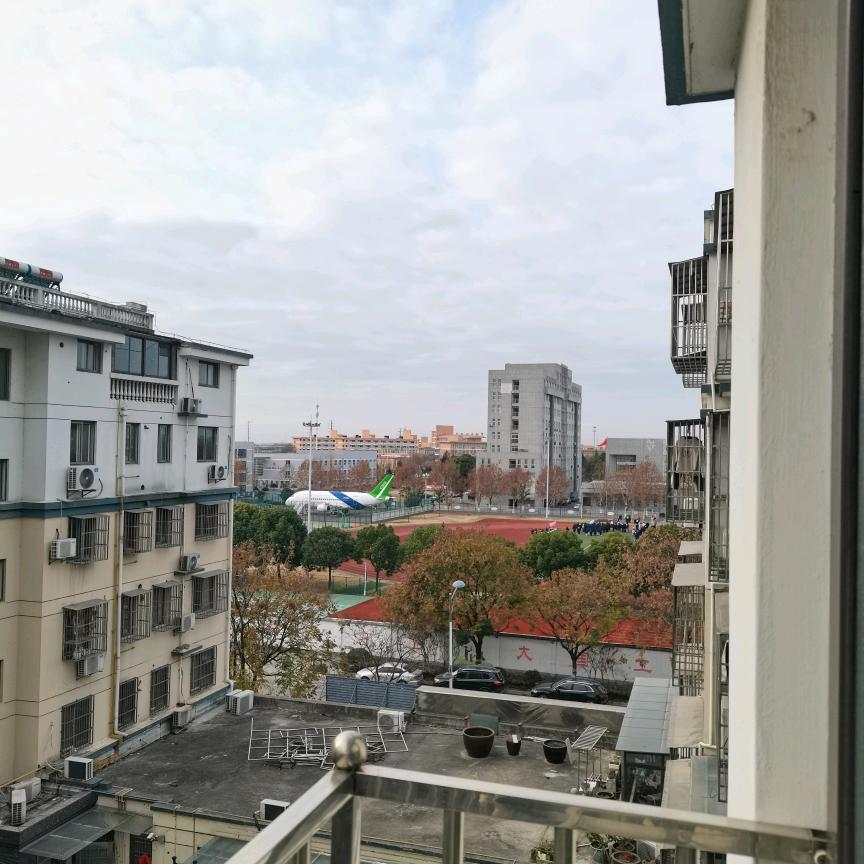 风轻月语