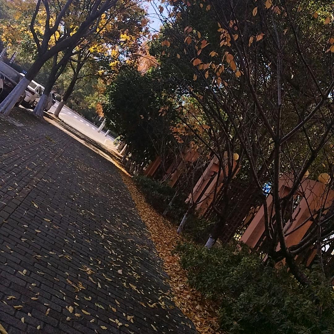 已注销