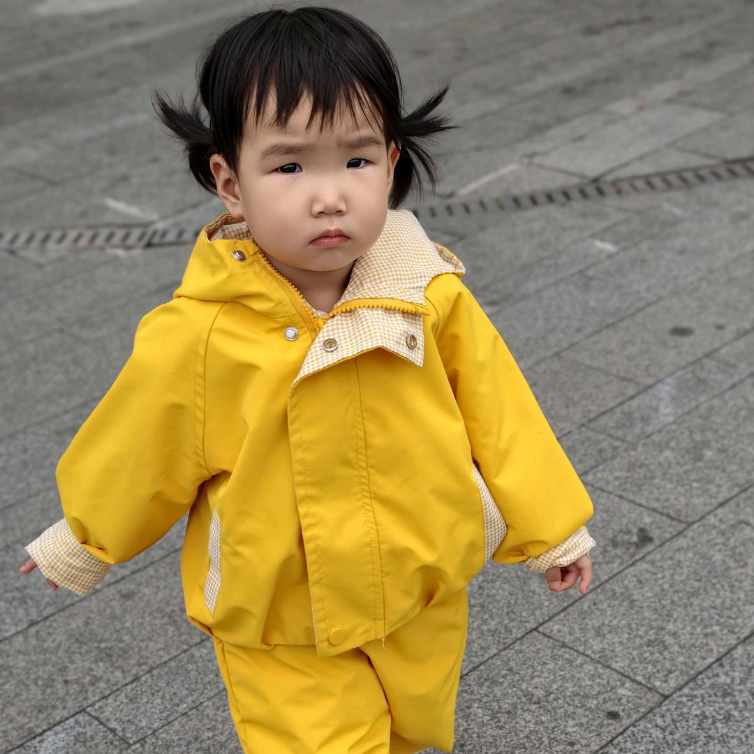 千年狐狸万年精