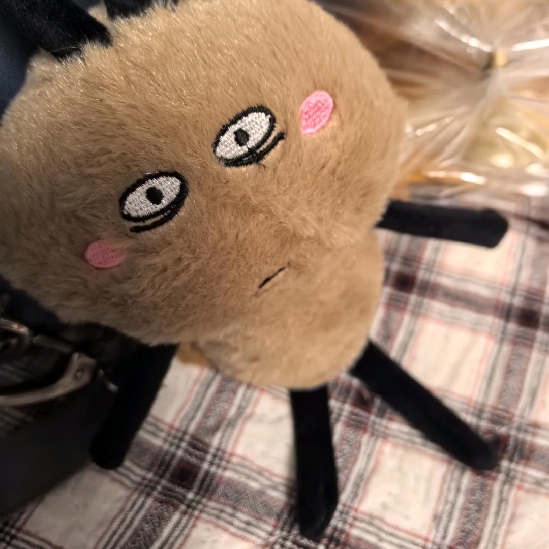 豆豆麻