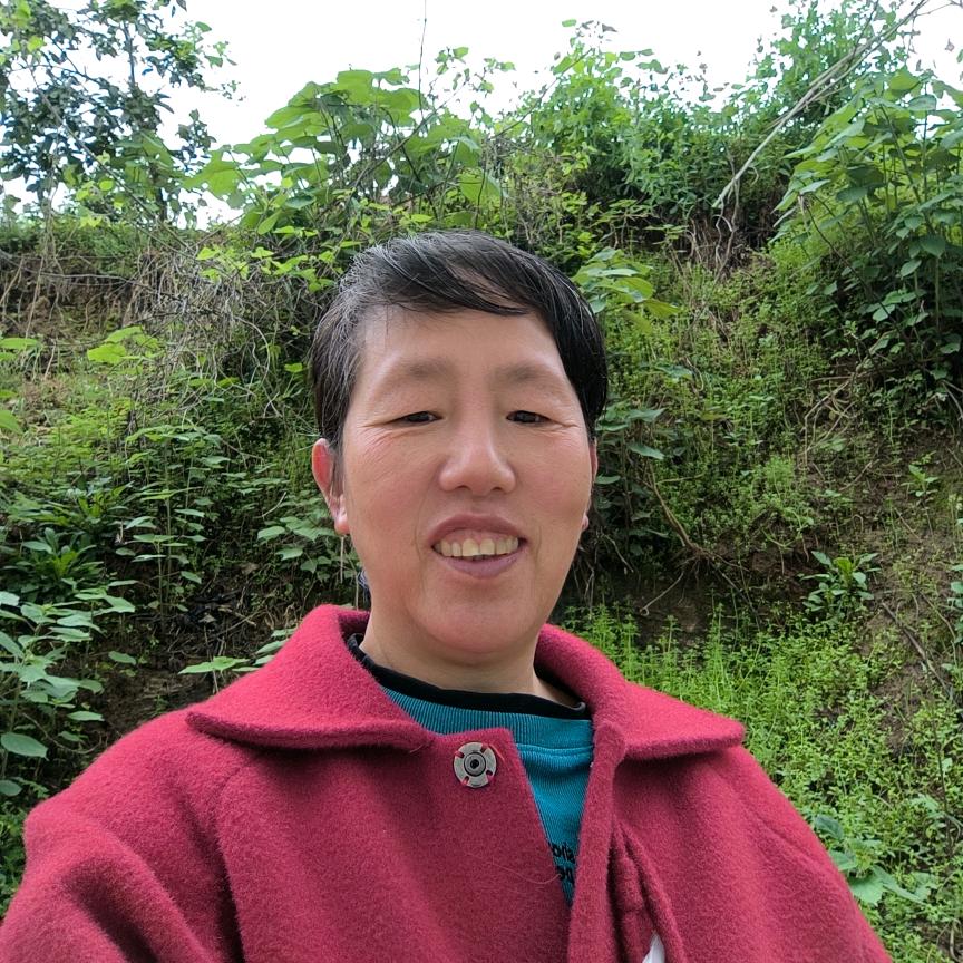 向姐(不定时开播)