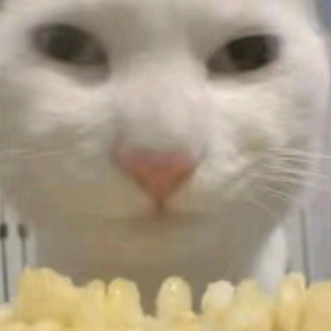 何斤欠🍅
