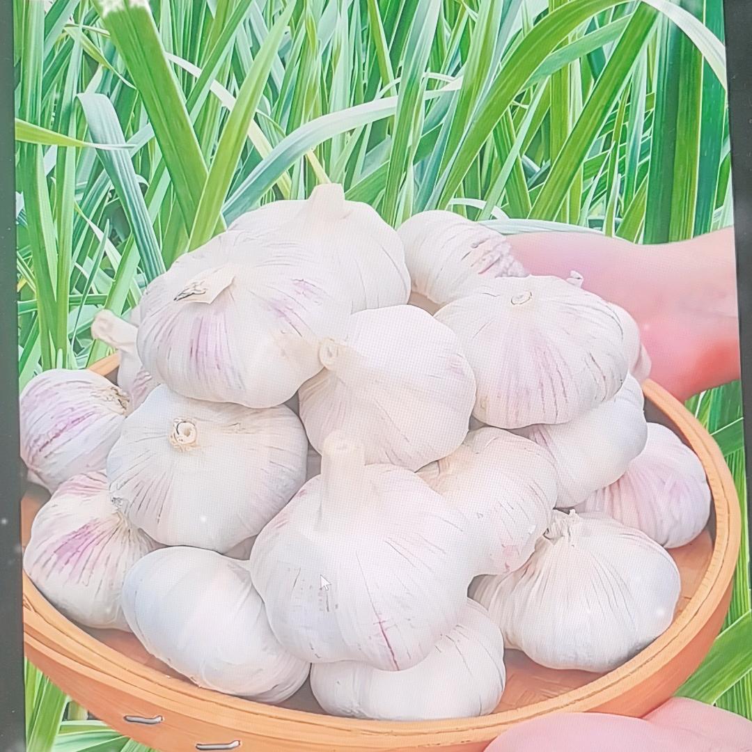 静姐