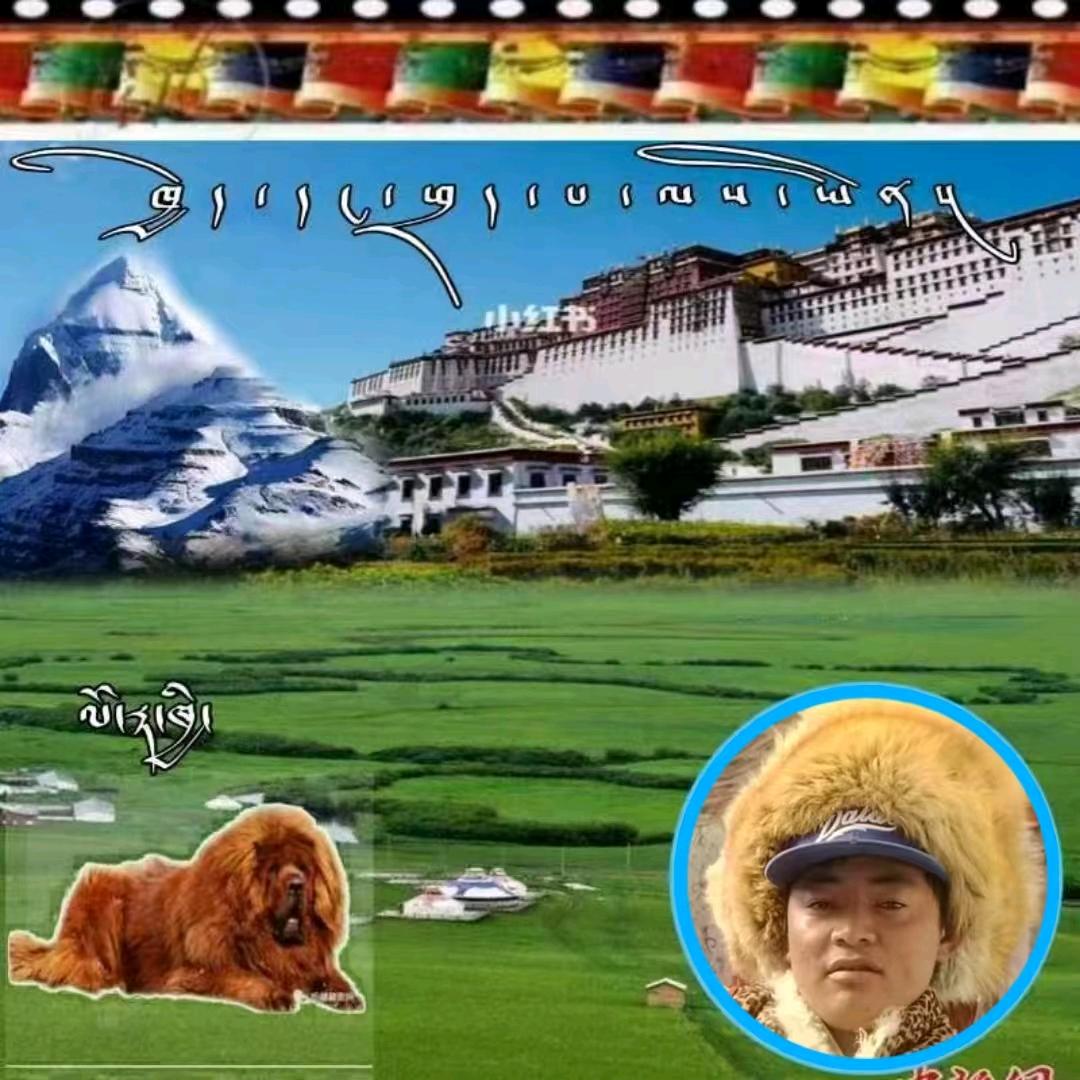 仲巴阿古