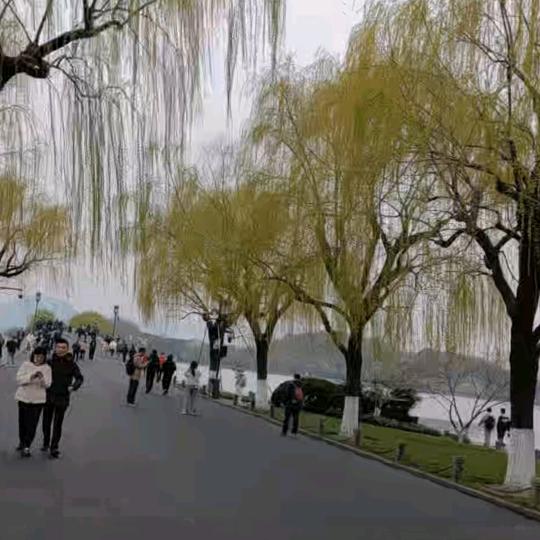 小腹婆